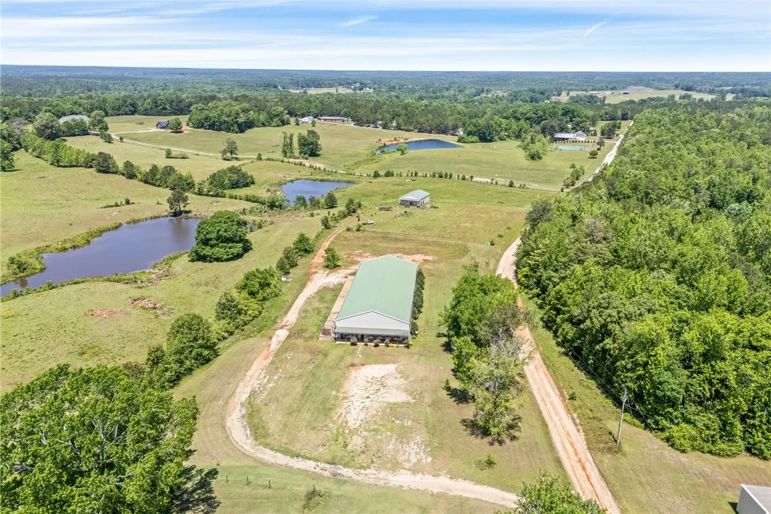 Expansive acreage with private ponds and lush greenery, creating a serene and picturesque landscape.