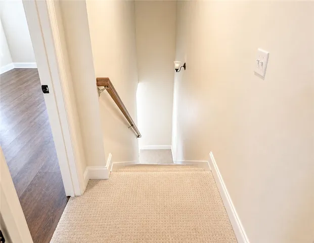 This inviting hallway features a carpeted stairway descending to a lower level.
