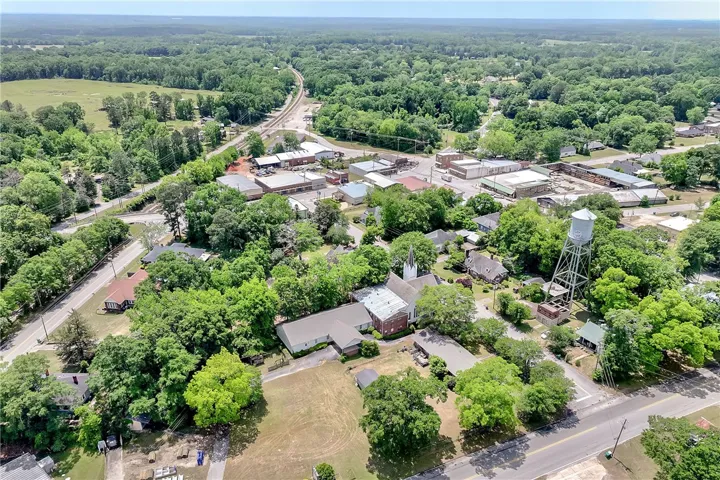 An aerial view captures the verdant landscape of this charming community, featuring mature trees and local architecture.