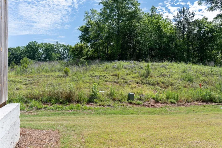 3287 Alana Court, Opelika, Alabama 36804