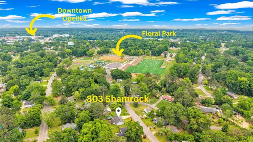 803 Shamrock Street, Opelika, Alabama 36801