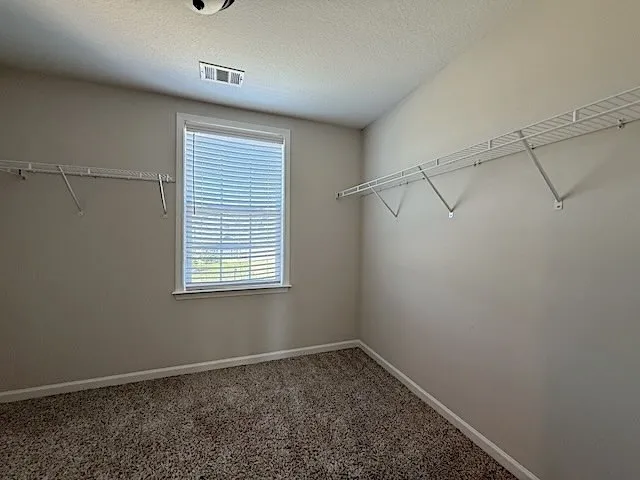 Functional walk-in closet featuring ample shelving and a bright window.