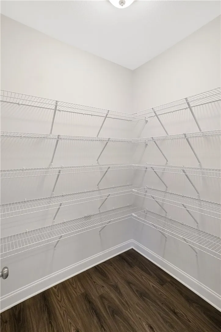 Well-organized kitchen storage solutions are available in this pantry with ample shelving.
