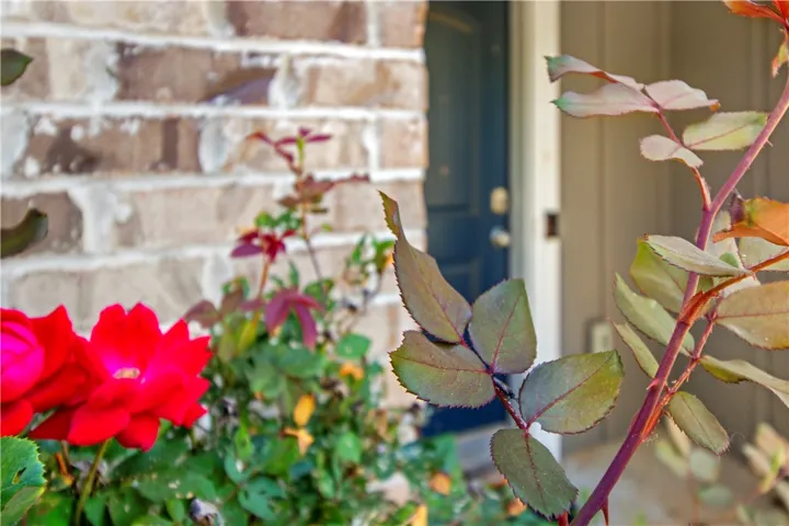 A charming entryway beckons with vibrant flora and classic brickwork, creating a welcoming first impression.