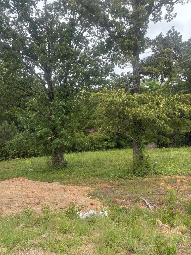 A spacious lot awaits your vision, framed by mature trees and natural surroundings.