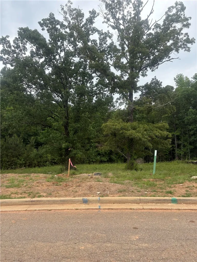 This undeveloped lot offers a nice backdrop, perfect for building your dream home.