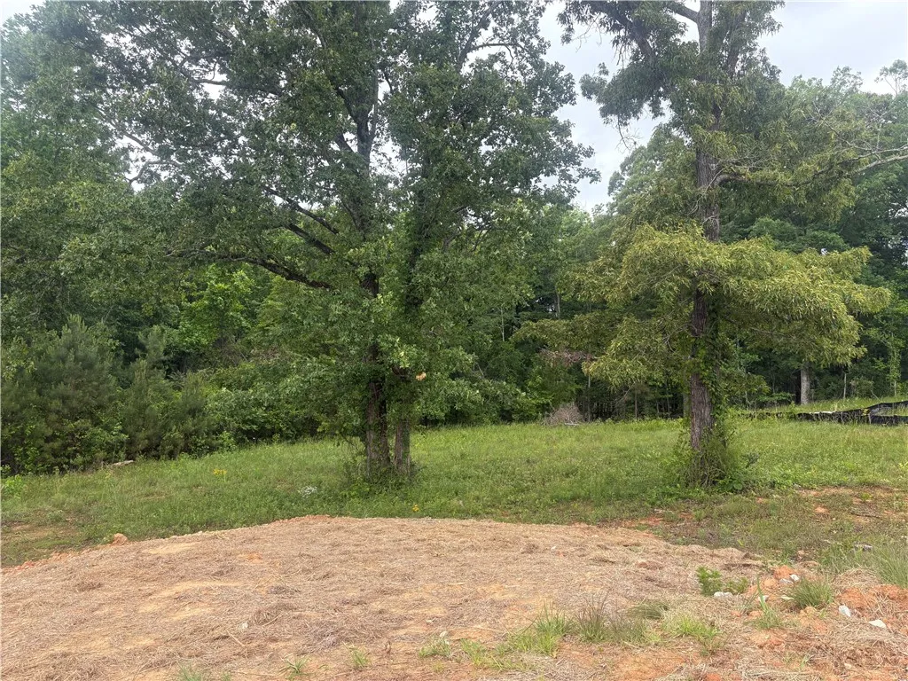 Expansive green lot with mature trees, offering a serene natural environment.