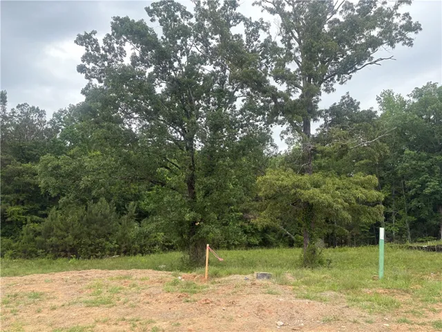 This expansive lot presents a canvas for building your dream home amidst natural beauty.