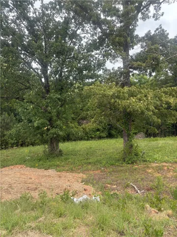 A spacious lot awaits your vision, framed by mature trees and natural surroundings.