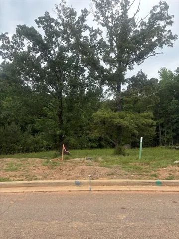 This undeveloped lot offers a nice backdrop, perfect for building your dream home.