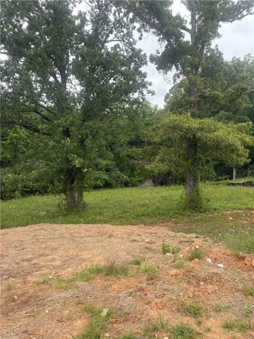 This lot offers a canvas for your dream home, surrounded by mature trees.