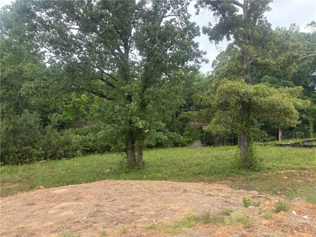 Expansive green lot with mature trees, offering a serene natural environment.