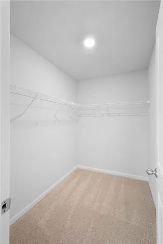 Functional closet with ample storage solutions and plush carpeting.