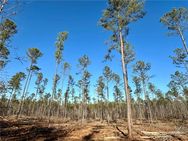 0 Lee Road 278 N/a, Salem, Alabama 36874
