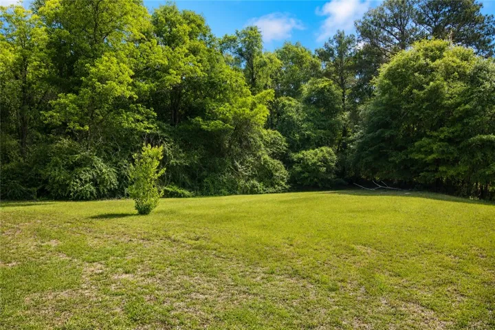 Expansive green lawn backed by a lush tree line, offering a private setting for your future home.
