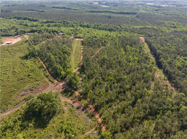 This aerial view showcases a sprawling landscape of lush woodlands and verdant fields.
