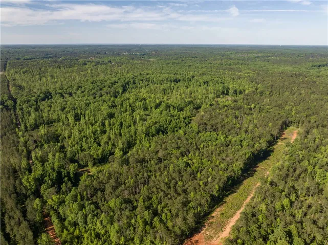 Vast green expanse offers privacy and abundant natural beauty, ideal for development.