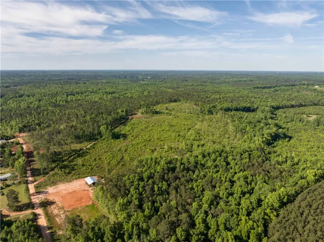 This expansive aerial view showcases a vibrant green landscape with abundant natural beauty.