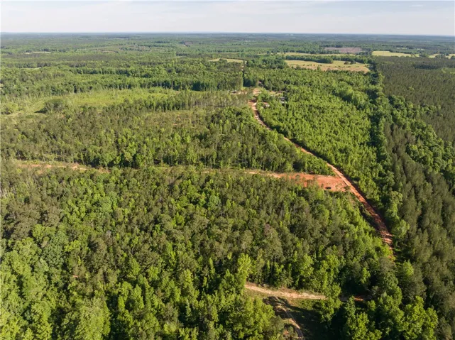 0 Wigdon Road, Opelika, Alabama 36801