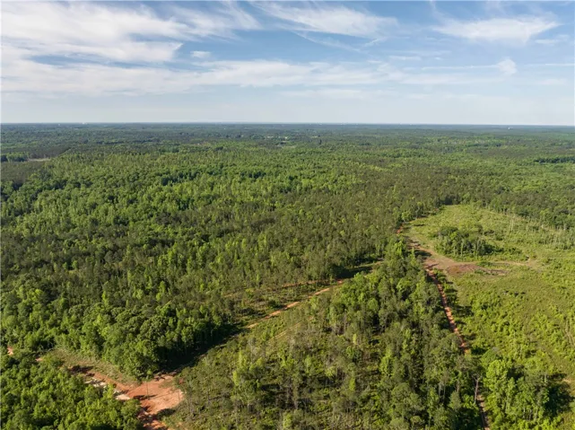 0 Wigdon Road, Opelika, Alabama 36801