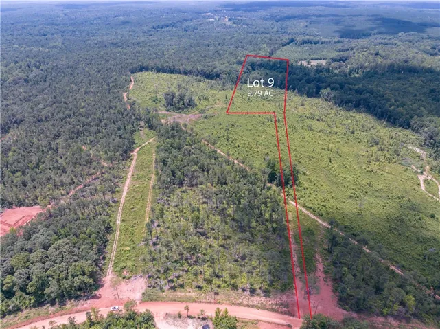 A sweeping aerial view reveals a vast expanse of verdant land, offering prime development potential.