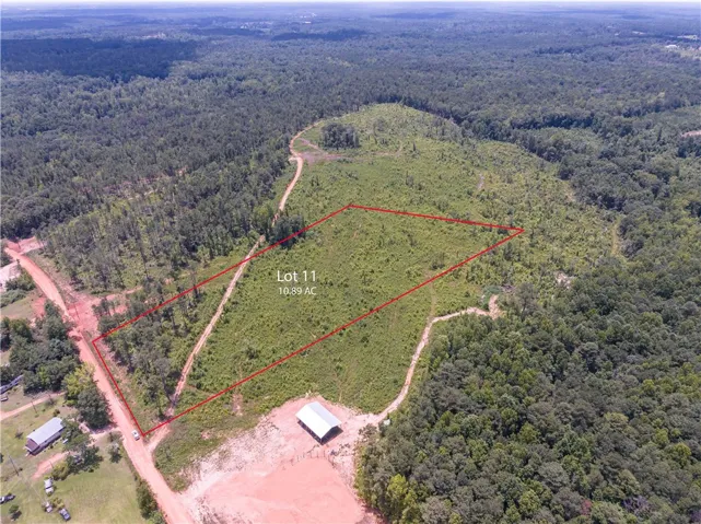 Vast, undeveloped land offering numerous possibilities, surrounded by natural woodlands.