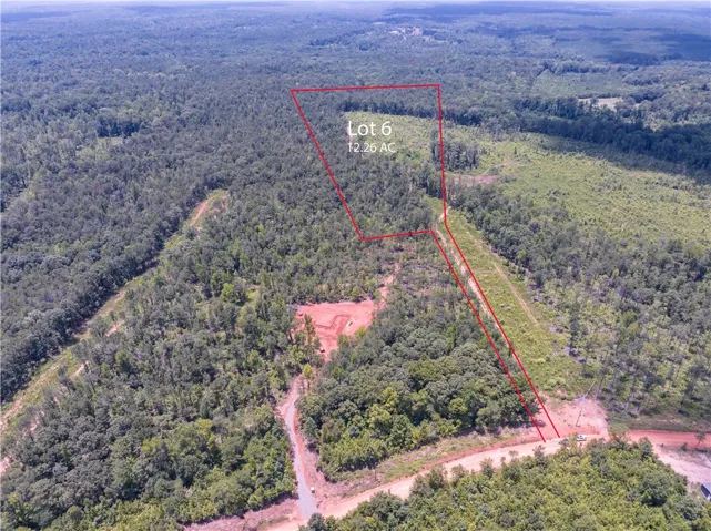A vast, wooded lot awaits, perfect for a private retreat.