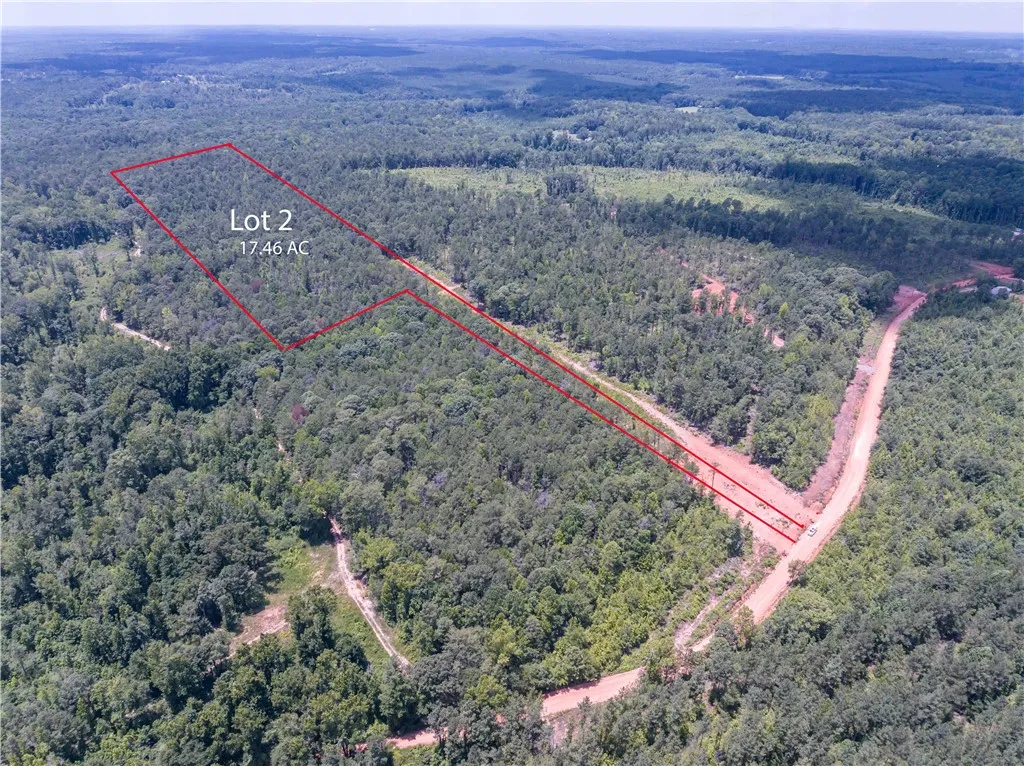 Vast, verdant acreage outlined for development, offering a serene woodland escape.