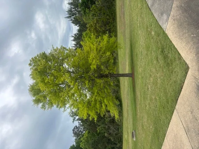 PLENTY OF GREEN SPACE