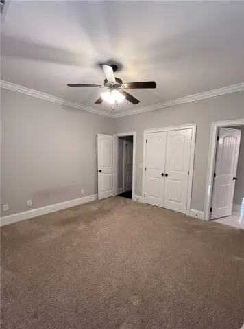 An inviting room with plush carpet, crisp white trim, and ample natural light.