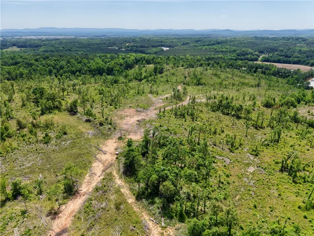 Standing timber for regeneration and wildlife corridors.