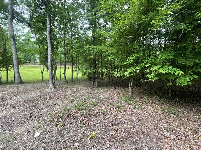 This tranquil wooded lot offers a peaceful retreat with abundant natural beauty and lush greenery.