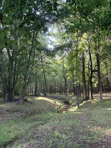 A tranquil stream meanders through a lush, verdant landscape, inviting serene moments.