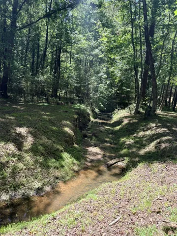 A tranquil stream meanders through a vibrant, lush forest, offering serene natural beauty.