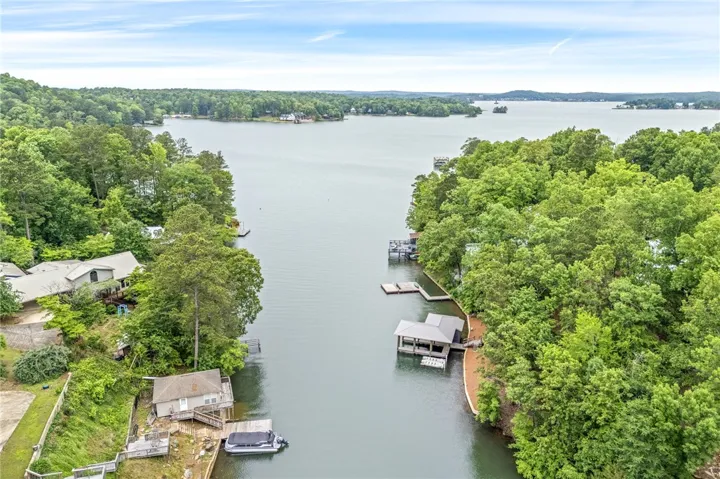 This aerial view showcases waterfront properties with private docks nestled among lush trees, offering direct lake access.