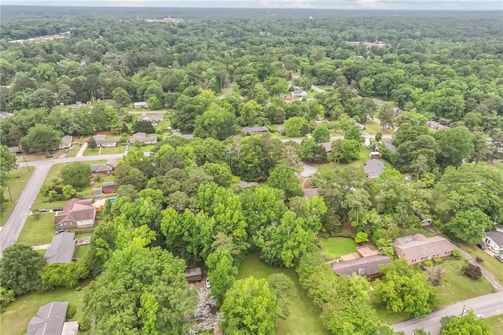 An overhead perspective reveals a tranquil, tree-filled neighborhood with residential properties interspersed among verdant foliage.