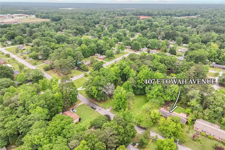 An aerial perspective reveals a verdant neighborhood with tree-lined streets and well-maintained properties.
