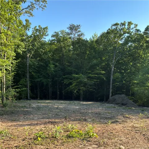 This expansive, cleared lot offers a serene setting for your future home.