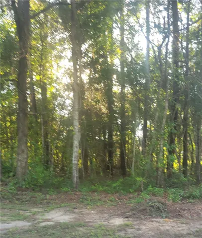 This serene wooded lot offers a private escape, perfect for creating a secluded haven.
