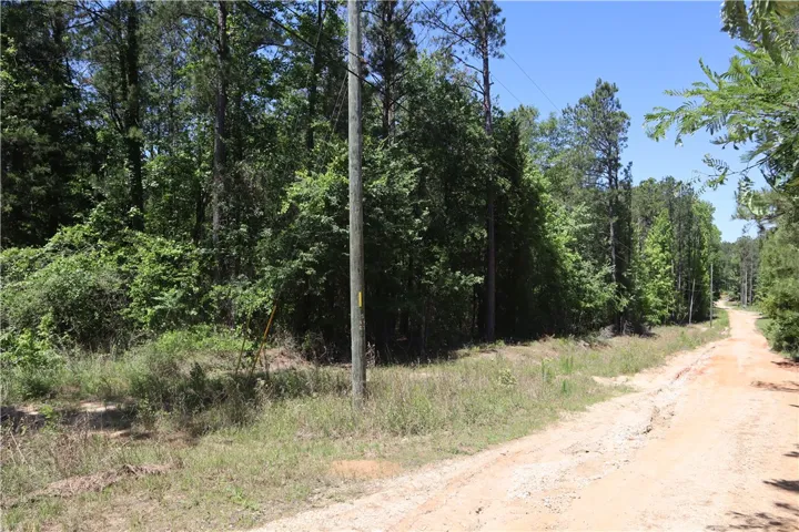 This lot offers a private, wooded setting, perfect for building your dream home.
