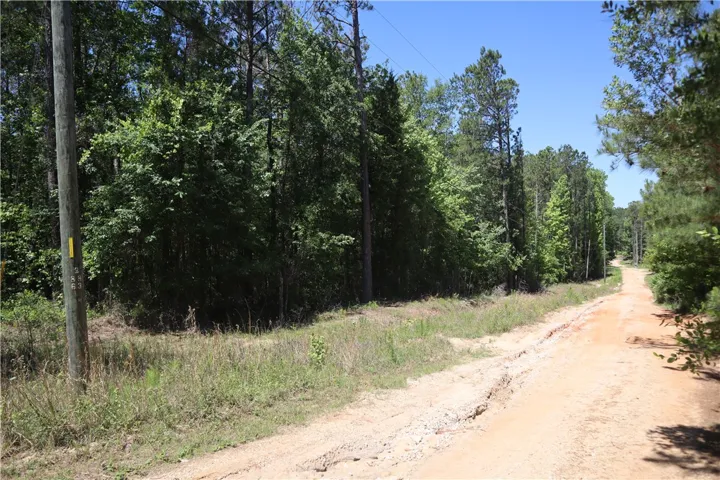 This scenic lot offers natural beauty and ample space for your future aspirations.