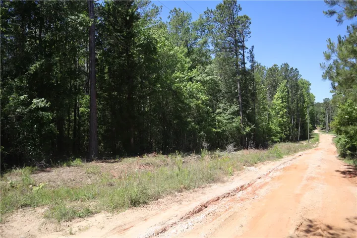 This expansive lot offers a serene setting with abundant mature trees and natural surroundings.