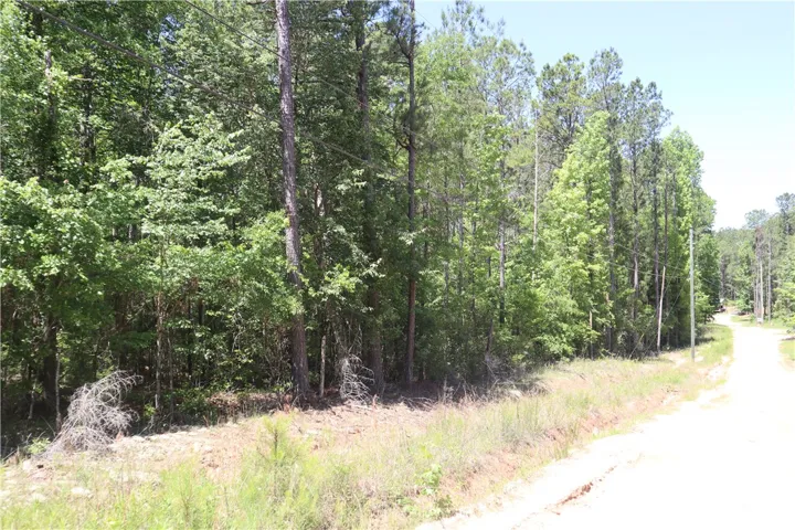 This serene wooded lot offers ample space for building a custom home amidst natural beauty.