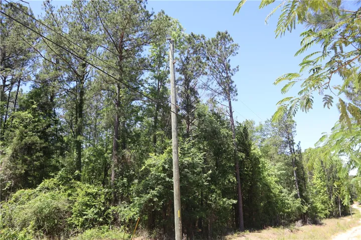 This expansive lot is nestled amidst a lush, verdant landscape, offering a private and serene environment.