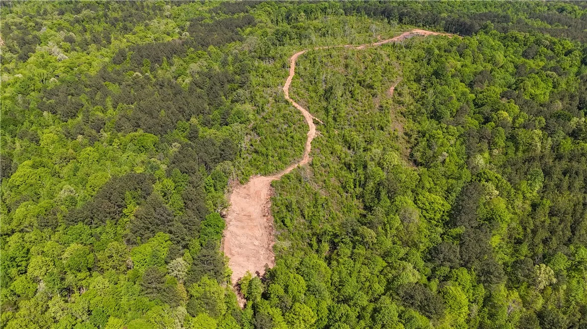 This aerial view showcases a vibrant green forest with a winding path and a clearing.