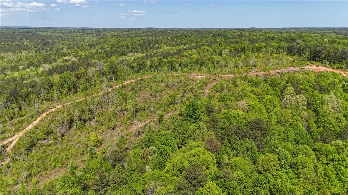 This expansive, verdant landscape offers a tranquil retreat for your future aspirations.