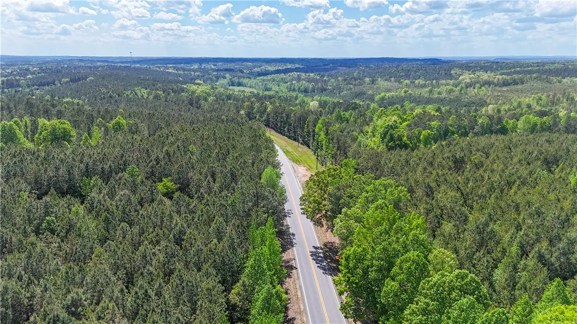 This sweeping aerial view showcases a vibrant expanse of dense, verdant forest.
