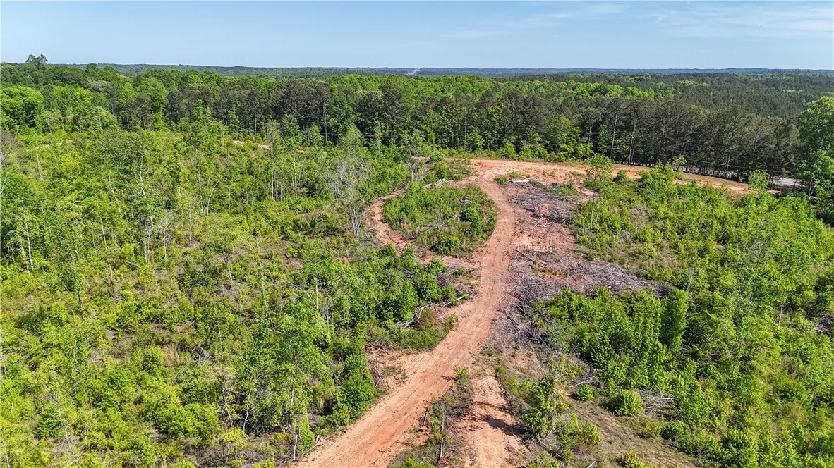 This expansive, verdant lot offers a blank canvas for your vision, surrounded by a lush tree line.