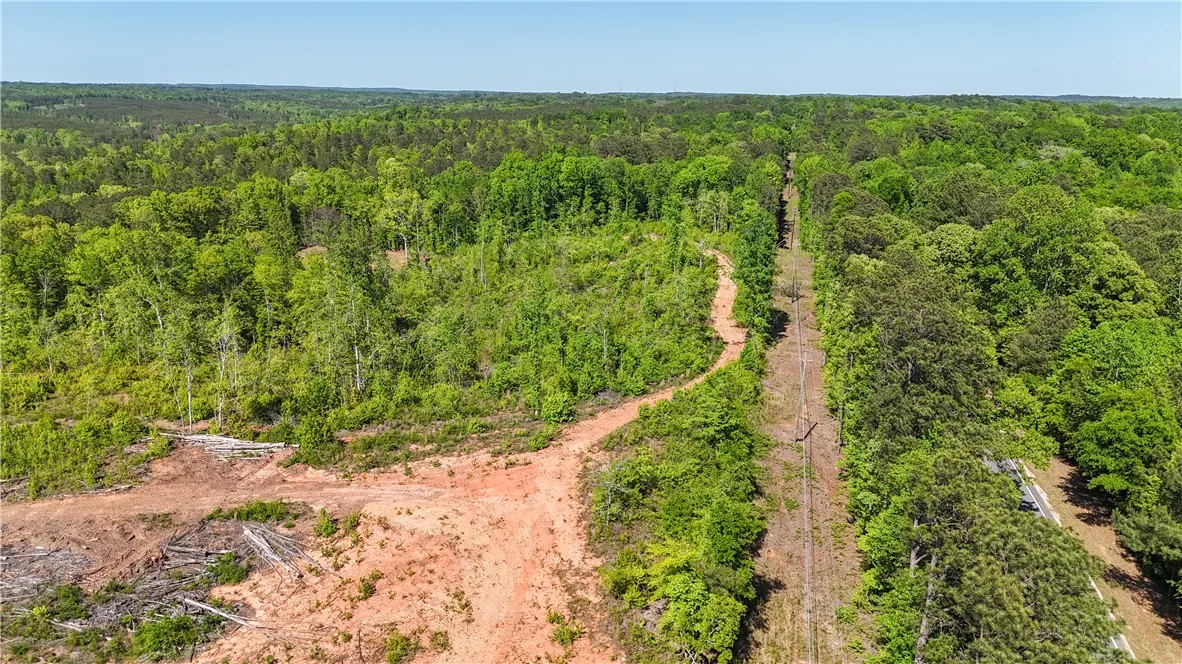Expansive acreage provides a verdant canvas for your vision, surrounded by lush, mature trees.