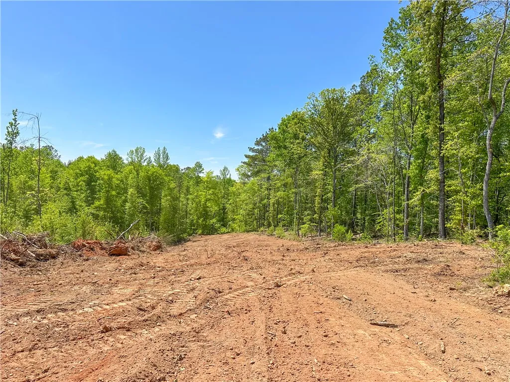 This expansive, cleared lot offers a serene setting for your future home.